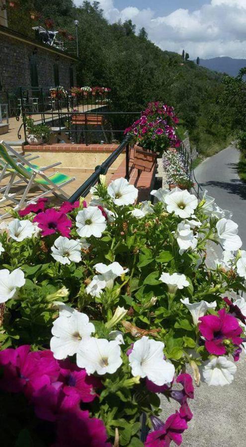 B&B Le Colline Di Bana Camogli Dış mekan fotoğraf